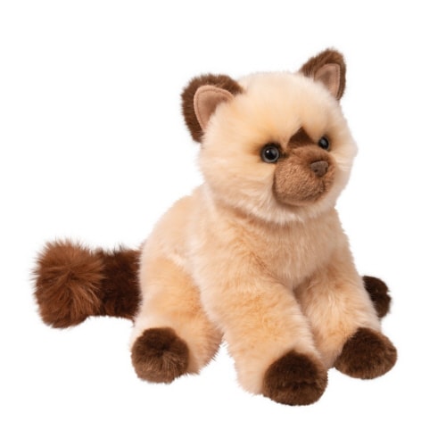 Mitzy Himalayan Cat